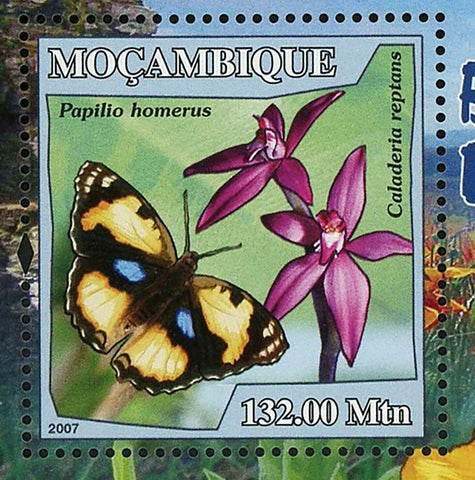 Butterflies Flowers Stamp Papilio Homerus Caladenia Reptans S/S MNH #2935/Bl.214