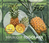 Fruits of Togo Stamp Guava Mango Papaya Pineapple Souvenir Sheet MNH #4112-4115