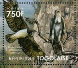 Birds of Prey of Africa Stamp Sea Eagle Bald Eagle Souvenir Sheet MNH #4122-4125