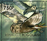 African Owls Stamp Birds Tyto Capensis Bubo Lacteus S/S MNH #4127-4130
