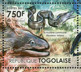 Ecosystem of Mediterranean Sea Seal Monachis Moray Eel S/S MNH #4197-4200