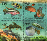 The Niger River Ecosystem Stamp Synodontis Catfish Fish S/S MNH #4189-4192