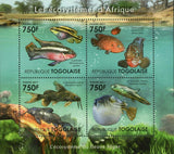 The Niger River Ecosystem Stamp Synodontis Catfish Fish S/S MNH #4189-4192