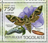 Butterflies Stamp Euchloroon Megaera Daphnis Nerii S/S MNH #4423-4426
