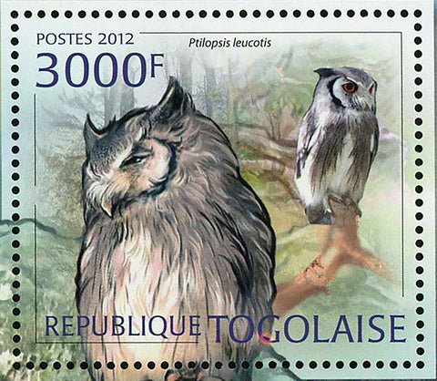 Owls Stamp Bird Ptilopsis Leucotis Glaucidium Perlatum S/S MNH #4432 / Bl.702