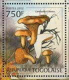 Mushrooms Stamp Russula sp. Morel spp. S/S MNH #4403-4406