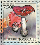 Mushrooms Stamp Russula sp. Morel spp. S/S MNH #4403-4406