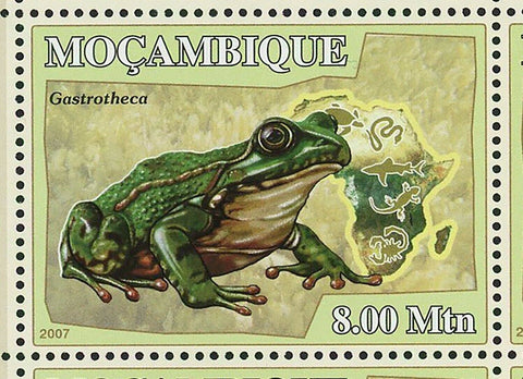 Frogs Stamp Dendrobatidae Mantella Gastrotheca Pyxicephalus S/S MNH #2957-2962