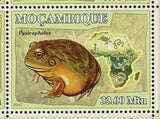 Frogs Stamp Dendrobatidae Mantella Gastrotheca Pyxicephalus S/S MNH #2957-2962