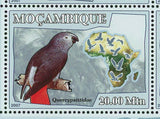 Parrots Stamp Birds Serudaptus Xenopsitta Psittacopes S/S MNH #3023-3028