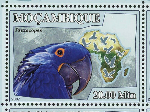 Parrots Stamp Birds Serudaptus Xenopsitta Psittacopes S/S MNH #3023-3028