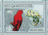 Parrots Stamp Birds Serudaptus Xenopsitta Psittacopes S/S MNH #3023-3028