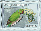 Parrots Stamp Birds Serudaptus Xenopsitta Psittacopes S/S MNH #3023-3028