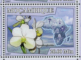Orchids Stamp Flowers Paphiopedilum Vanda Coerulea S/S MNH #2912-2917