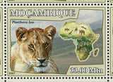 Lions Stamp Panthera Leo Acinonyx Jubatus Panthera Pardus S/S MNH #3032-3037