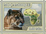 Lions Stamp Panthera Leo Acinonyx Jubatus Panthera Pardus S/S MNH #3032-3037