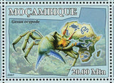 Crustaceans Stamp Genus Ocypode Panulirus Birgus Latro S/S MNH #2943-2948