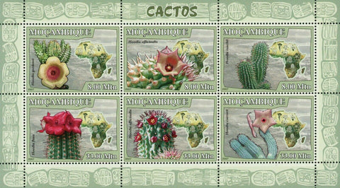 Cactus Stamp Hoodia Gordonii Hoodia Flava Plants Nature Souvenir Sheet MNH #2900