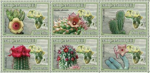 Cactus Stamp Hoodia Gordonii Hoodia Flava Plants Nature Souvenir Sheet MNH #2900