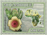 Cactus Stamp Hoodia Gordonii Hoodia Flava Plants Nature Souvenir Sheet MNH #2900
