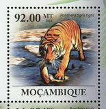 Bengal Tigers Stamp Panthera Tigris Tigris Souvenir Sheet MNH #4427-4432