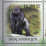 Gorillas Stamp Gorilla Gorilla Beringei Graueri Souvenir Sheet MNH #4451-4456