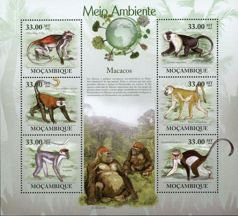 Macaques Stamp Piliocolobus Kirkii Cercopithecus Solatus Torquatus S/S MNH #3620