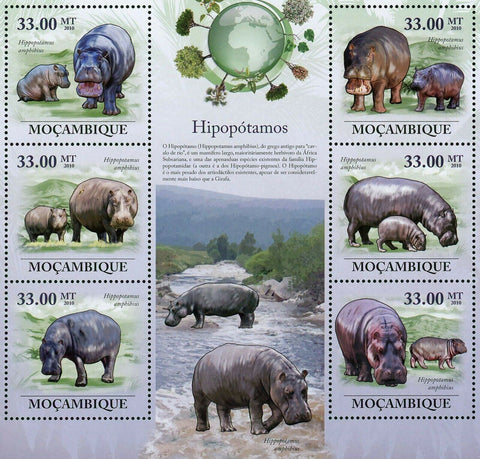 Hippopotamus Stamp Hippopotamus Amphibius Wild Animal S/S MNH #3596-3601