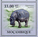 Hippopotamus Stamp Hippopotamus Amphibius Wild Animal S/S MNH #3596-3601