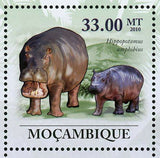 Hippopotamus Stamp Hippopotamus Amphibius Wild Animal S/S MNH #3596-3601