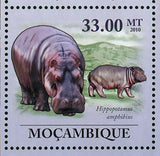 Hippopotamus Stamp Hippopotamus Amphibius Wild Animal S/S MNH #3596-3601