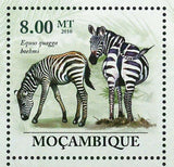 Zebras Stamp Equus Quagga Boehmi Equus Quagga Burchellii S/S MNH #3524-3529