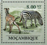 Zebras Stamp Equus Quagga Boehmi Equus Quagga Burchellii S/S MNH #3524-3529