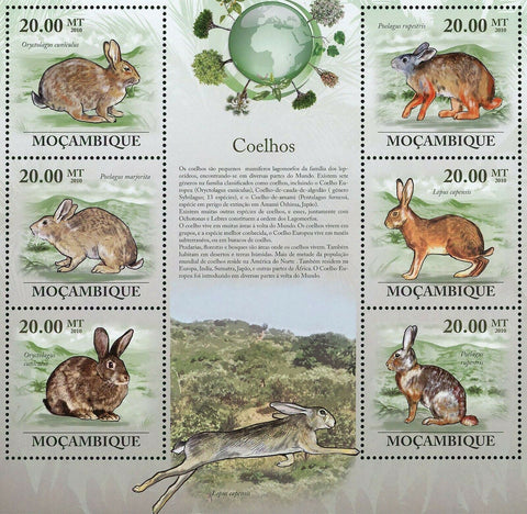 Rabbits Stamp Oryctolagus Cuniculus Lepus Capensis S/S MNH #3548-3553