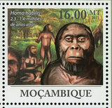 Human Evolution Stamp Homo Habilis Homo Erectus Australopithecus S/S MNH #4469