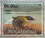 Birds Stamp Chlorostilbon Bracei Xenicus Longipes Xenicus Longipes S/S MNH #5738