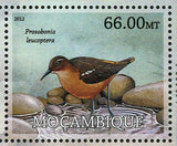 Birds Stamp Chlorostilbon Bracei Xenicus Longipes Xenicus Longipes S/S MNH #5738