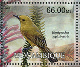 Birds Stamp Chlorostilbon Bracei Xenicus Longipes Xenicus Longipes S/S MNH #5738