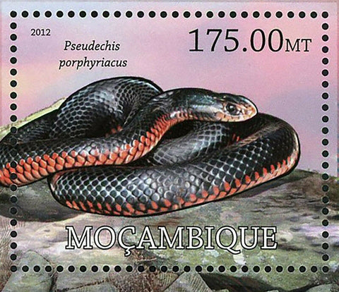 Snakes Stamp Pseudechis Porphyriacus Reptile Souvenir Sheet MNH #5766 / Bl.629