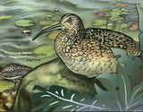 Sea Birds Stamp Phalacrocorax Featherstoni Numenius Tahitiensis S/S MNH #5774