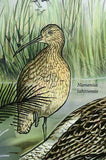 Sea Birds Stamp Phalacrocorax Featherstoni Numenius Tahitiensis S/S MNH #5774