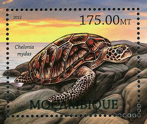 Turtle Stamp Chelonia Mydas Pseudemydura Umbrina Souvenir Sheet MNH #5673/Bl.618