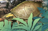 Turtle Stamp Chelonia Mydas Pseudemydura Umbrina Souvenir Sheet MNH #5673/Bl.618
