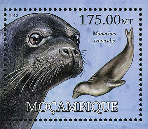 Marine Animals Stamp Monachus Tropicalis Orthoceras sp. S/S MNH #5835/ Bl.640