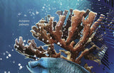 Marine Life Stamp Monachus Schauinslandi Sphyrna Mokarran S/S MNH #5816 / Bl.637