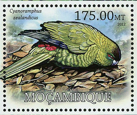 Parrot Stamp Cyanoramphus Zealandicus Conuropsis Carolinensis S/S MNH #5850/B643