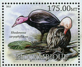 Birds Stamp Rhodonessa Caryophyllacea Mergus Australis S/S MNH #5744 / Bl.625