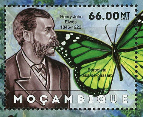 Butterflies Stamp Henry John Elwes Morpho Blue Monarch S/S MNH #6125-6130