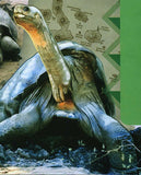 Lonesome George Stamp Chelonoidis Nigra Abingdonii Turtle S/S MNH #6061 / Bl.675