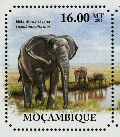 Elephants of Savanna Stamp Loxodonta Africana Wild Animal S/S MNH #4987-4992